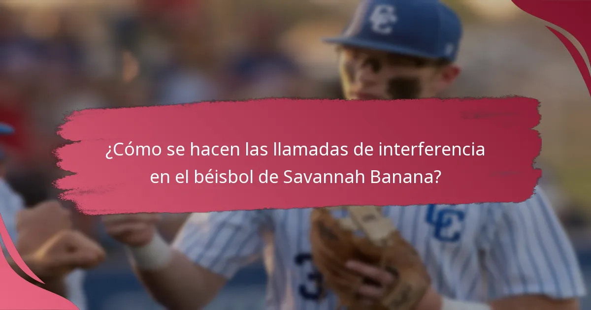 ¿Cuál es el proceso para apelar las llamadas de obstrucción e interferencia?