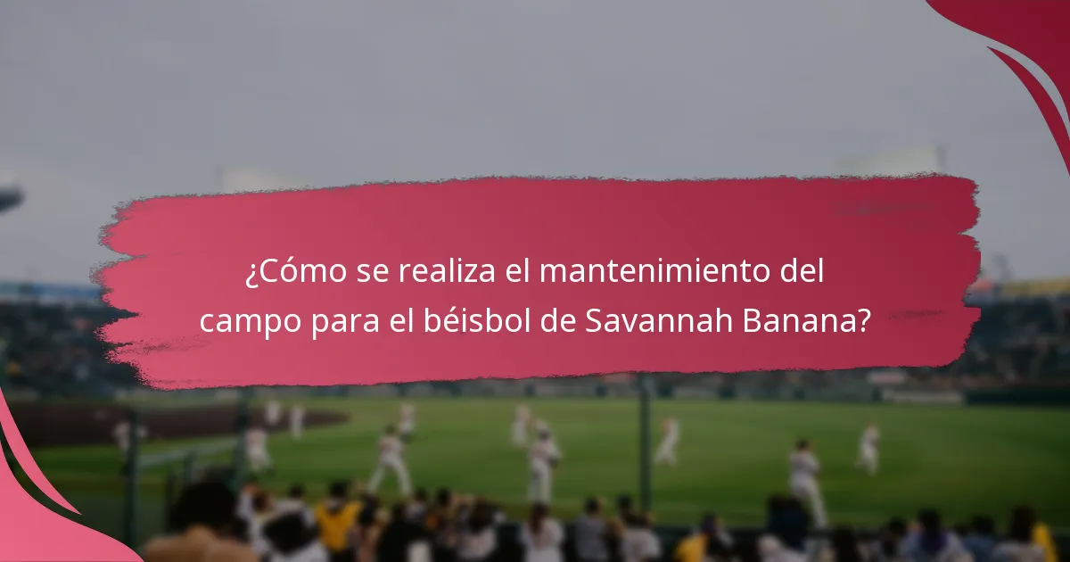 ¿Cómo se realiza el mantenimiento del campo para el béisbol de Savannah Banana?