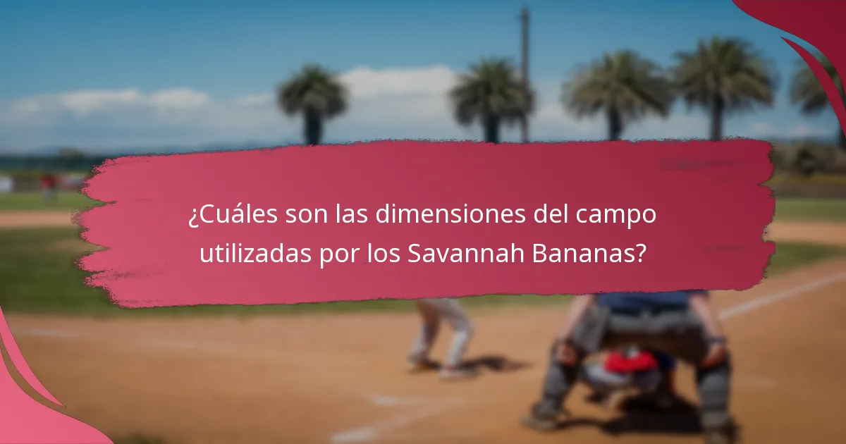 ¿Cuáles son los roles de los jugadores en el equipo de los Savannah Bananas?