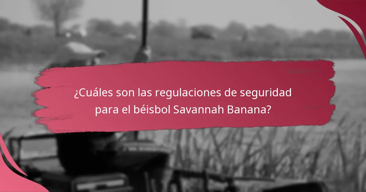 ¿Qué medidas de seguridad son únicas para el béisbol Savannah Banana en comparación con otros equipos?