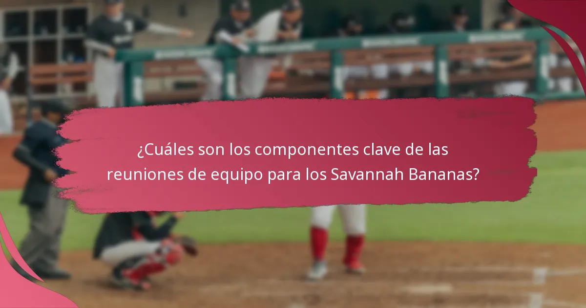 ¿Qué medidas de responsabilidad están en marcha para los Savannah Bananas?